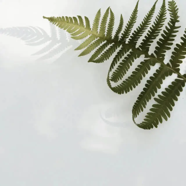 Exploring the Impact of Artificial Intelligence on Modern Healthcare