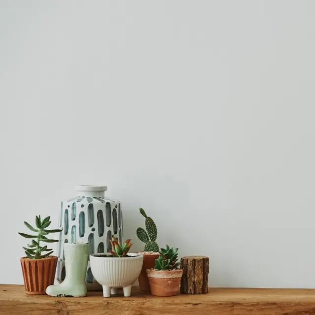 Climate Change and Its Effects on Global Food Security